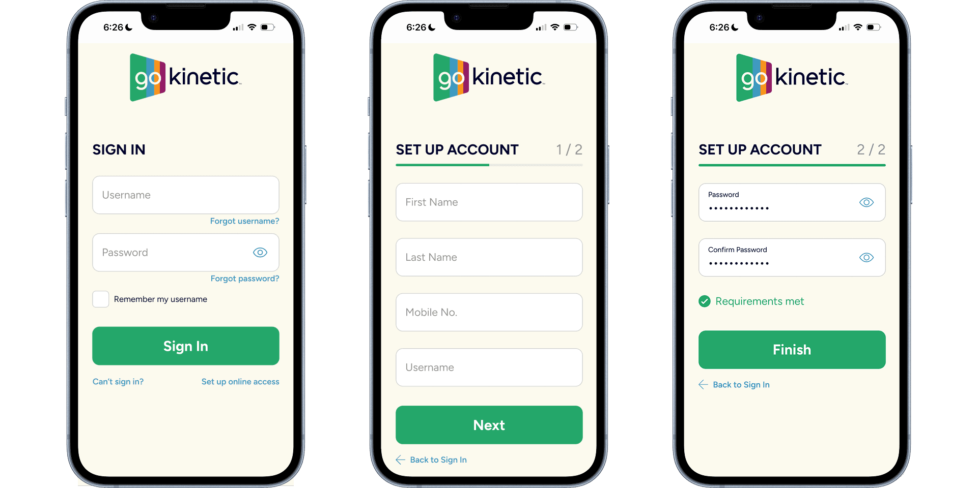 Go Kinetic Setup