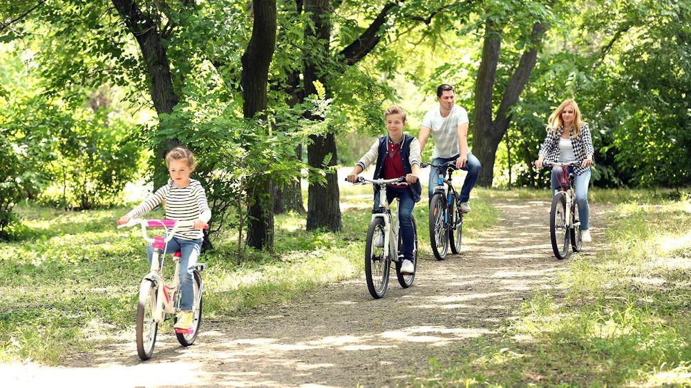 Family bicycles on sunlit path