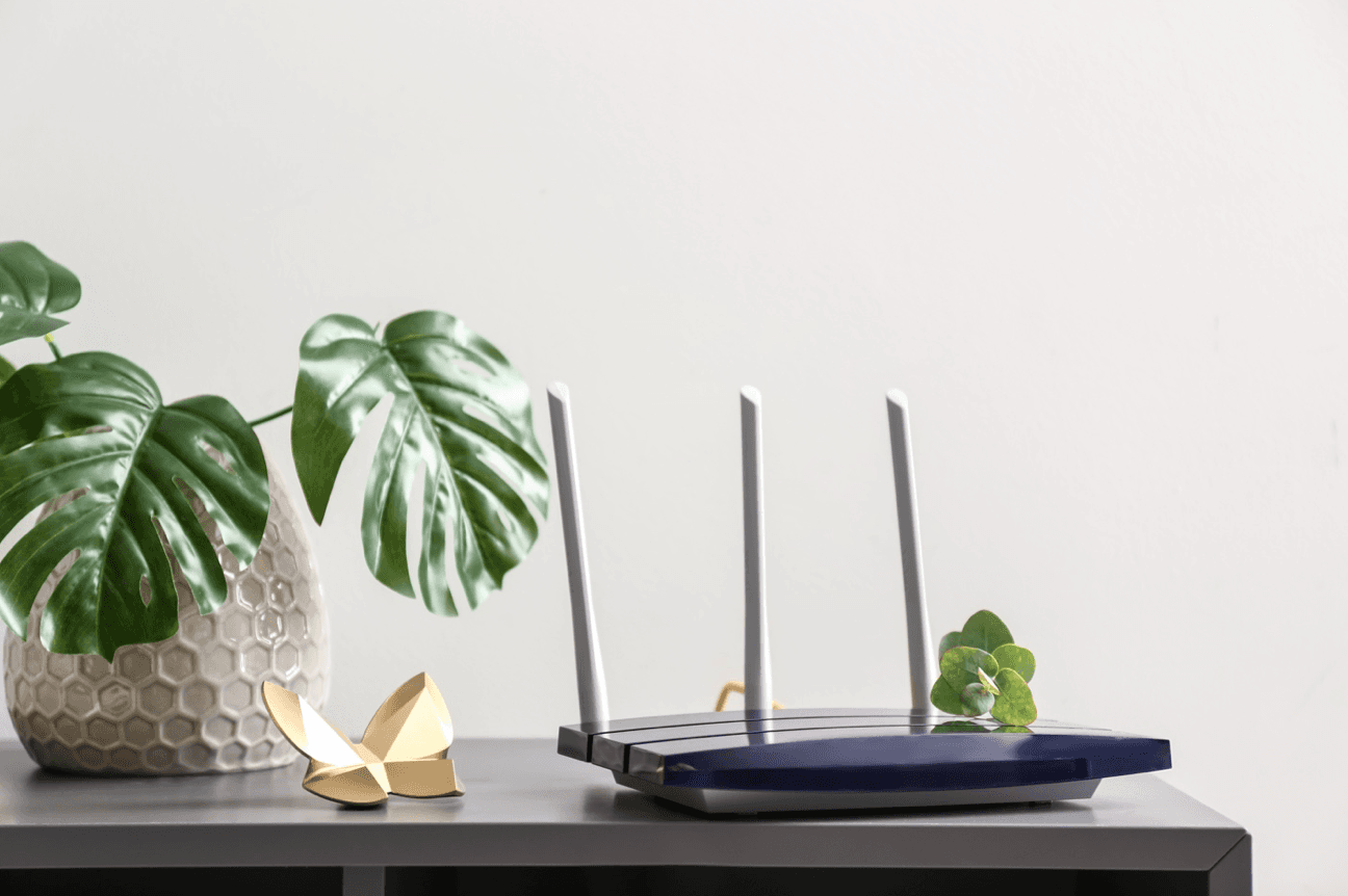 Wi-Fi router on a table next to a plant
