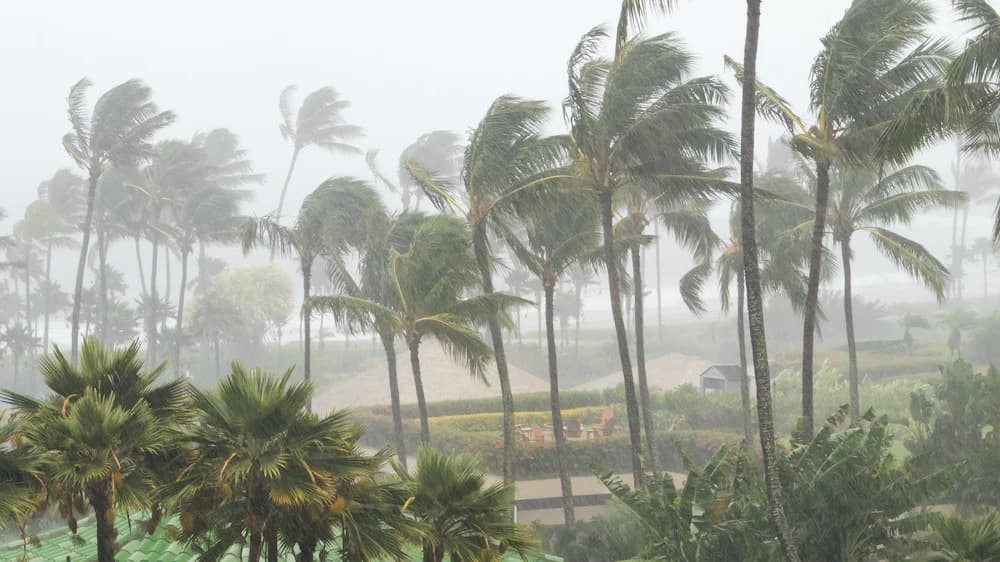 hurricanepreparedness kineticbyw