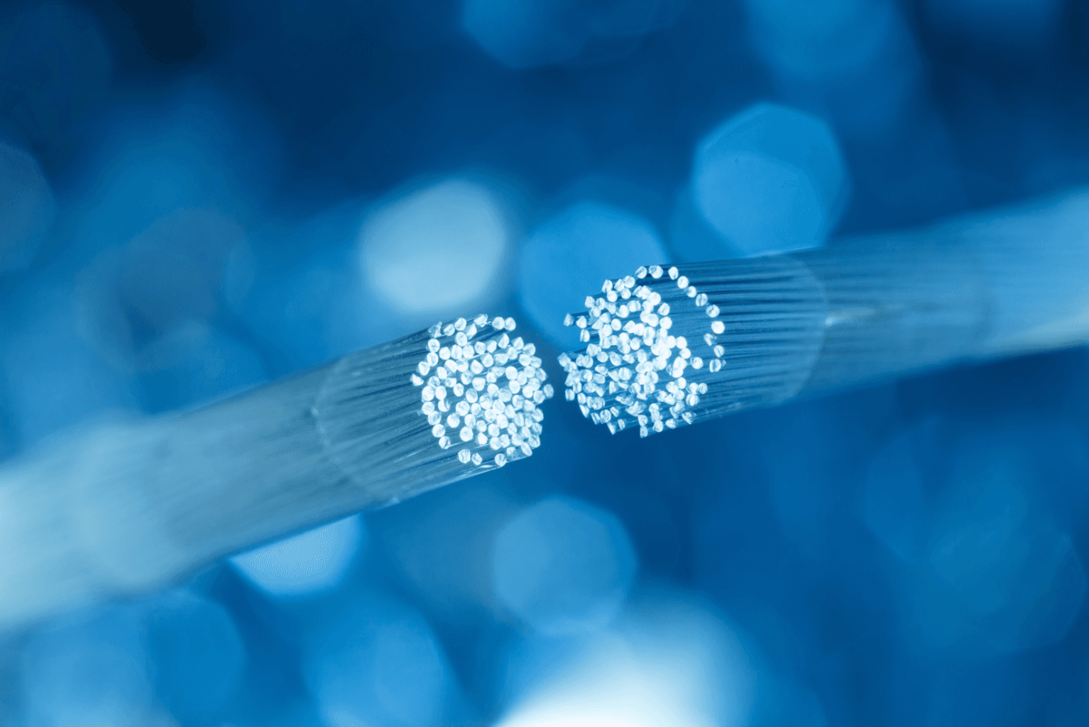Close-up of fiber optic internet wires
