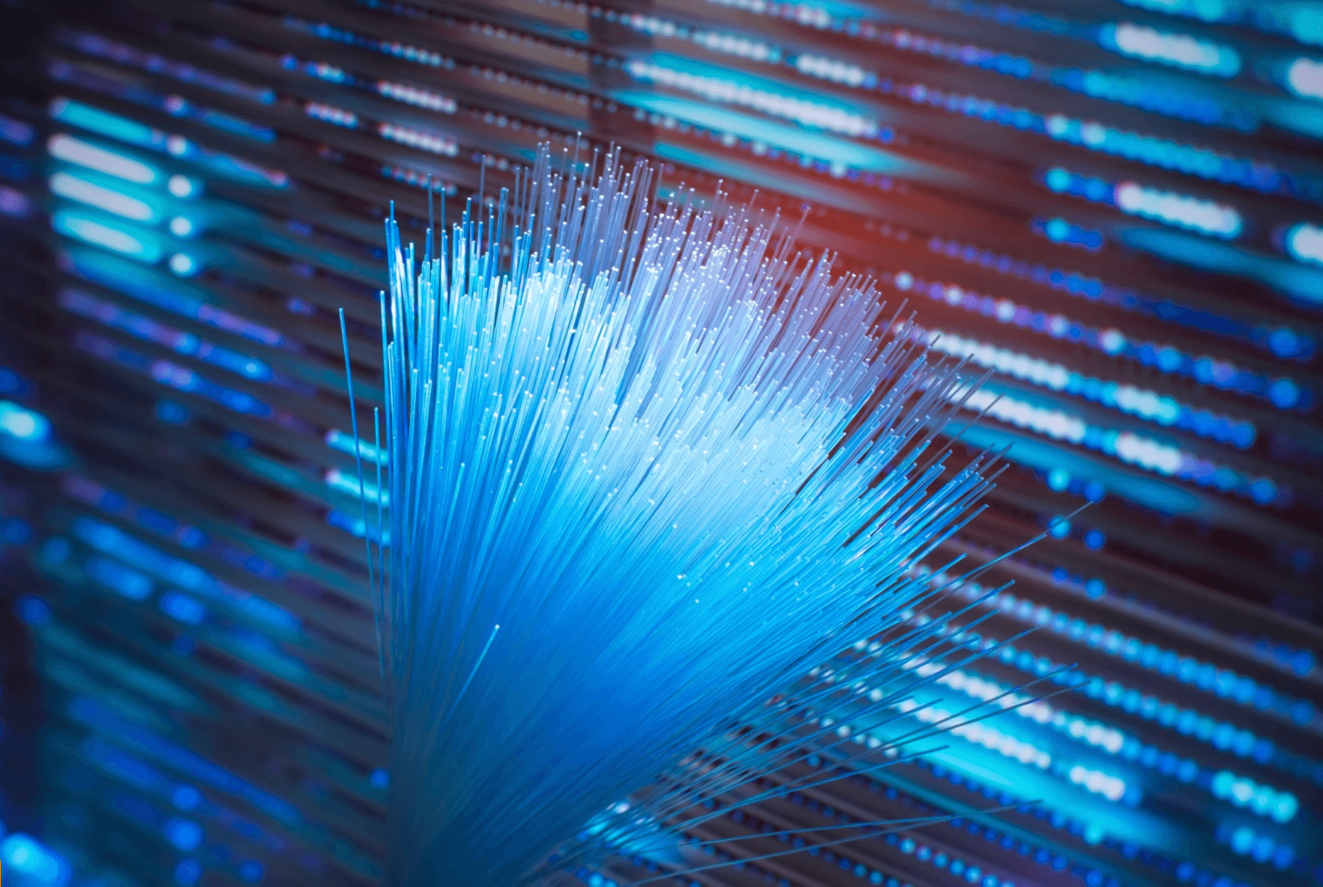 Bunch of fiber optic internet cables